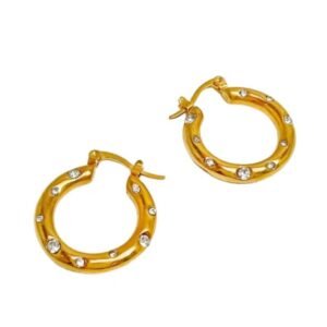 Crystal Encrusted Hoop Earrings